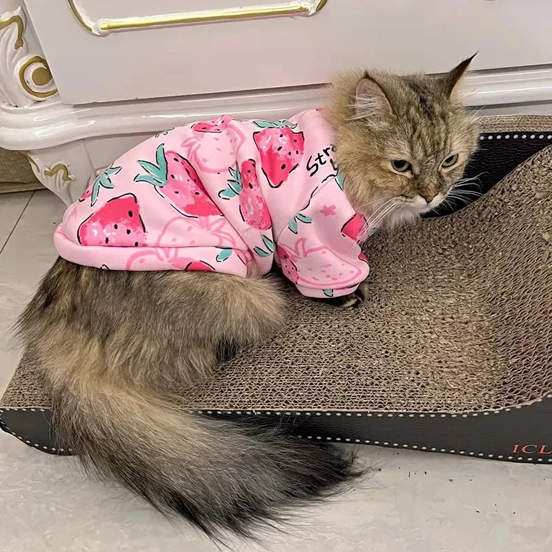Cozy Winter Cat Hoodie - Warm Sweater for Cats and Small Dogs