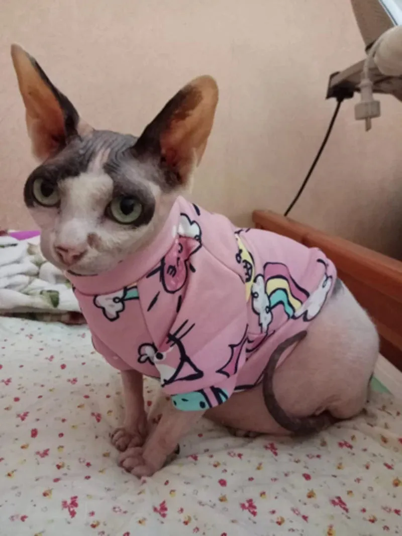 Cozy Winter Cat Hoodie - Warm Sweater for Cats and Small Dogs
