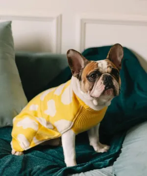 Joey’s Sweater