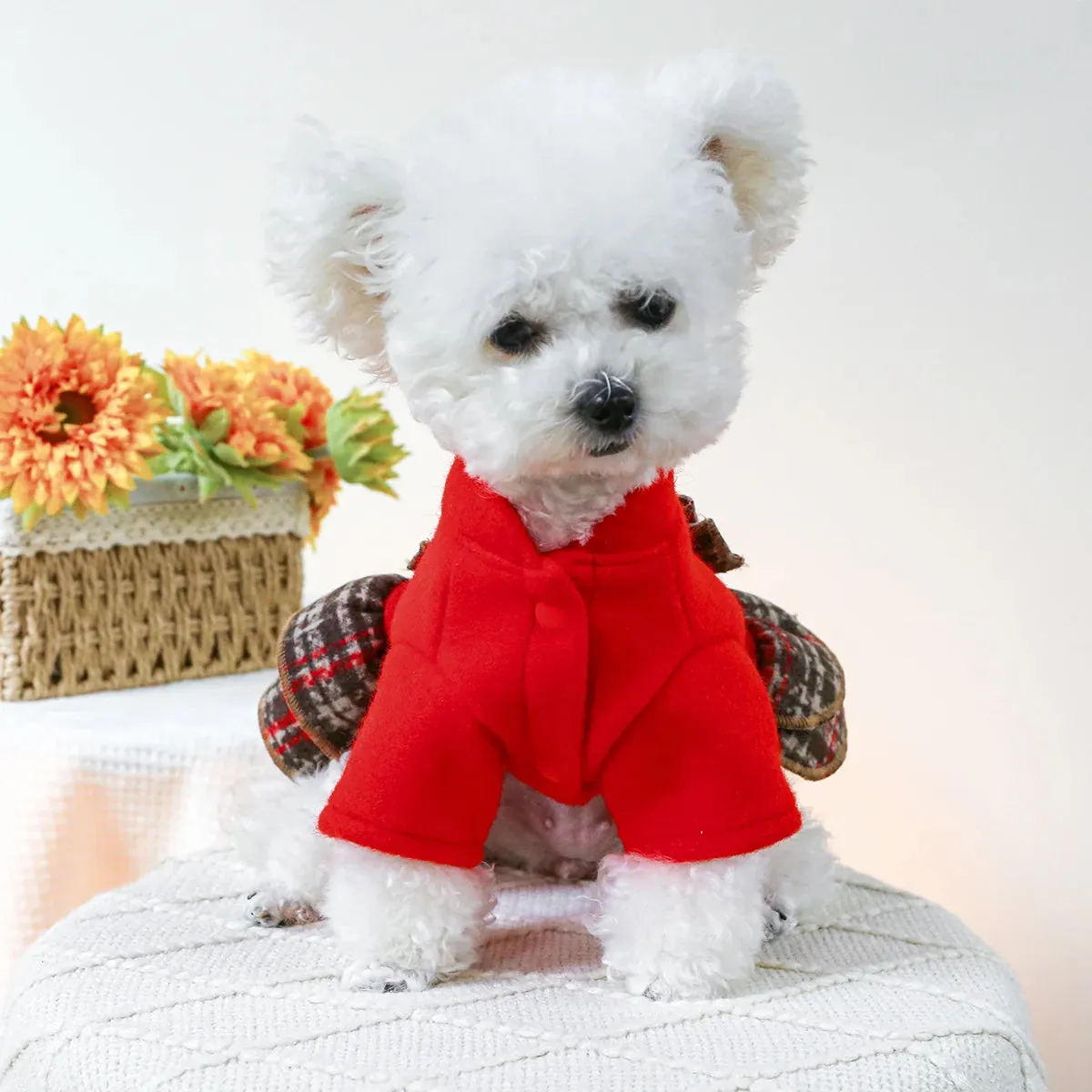Red Radiance: New Year Princess Dress - Autumn and Winter Pet Clothing with Thickened Warmth and Drawstring Buckle for Small to Medium Dogs and Cats