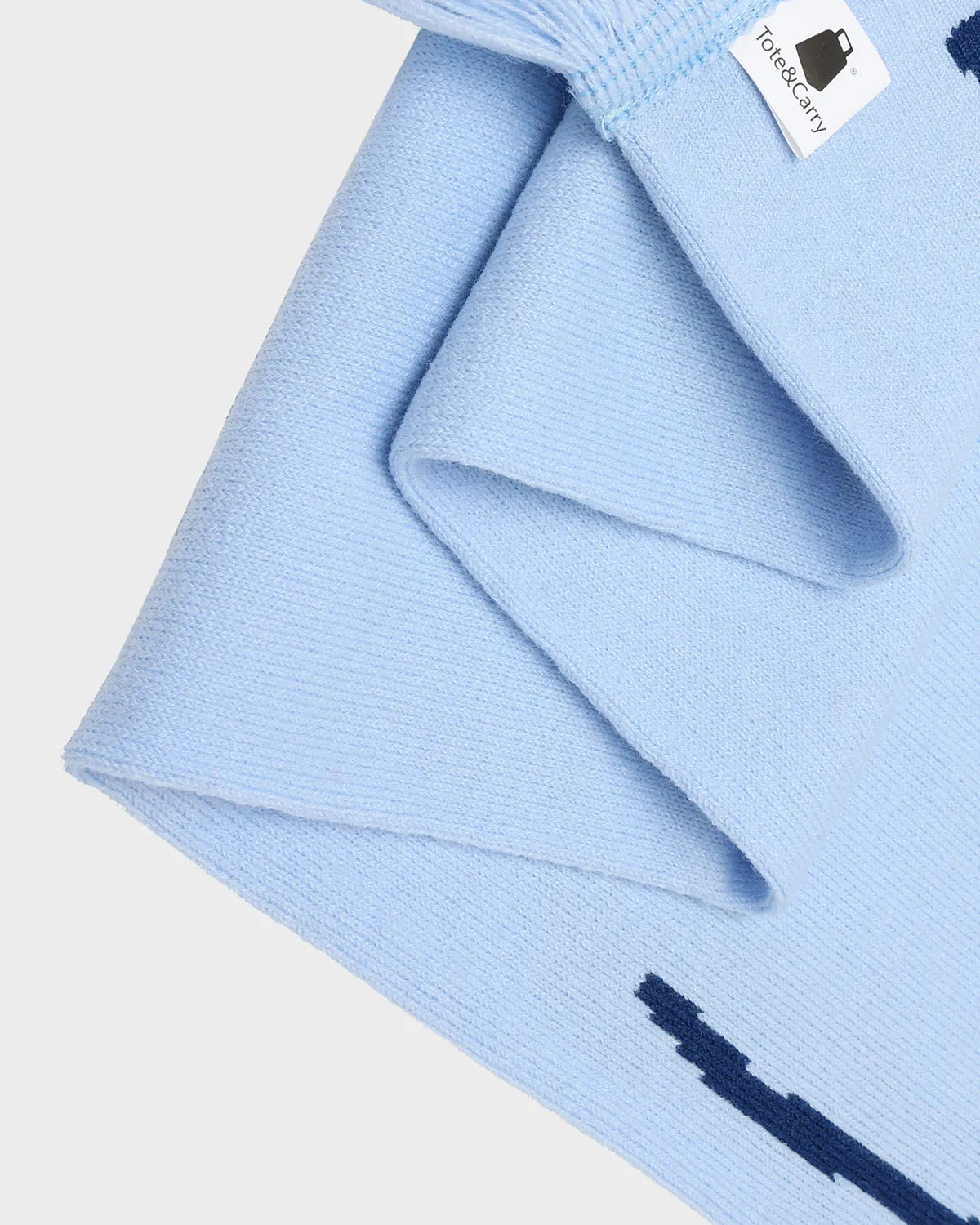 T&C Beanie Scarf Set in Baby Blue