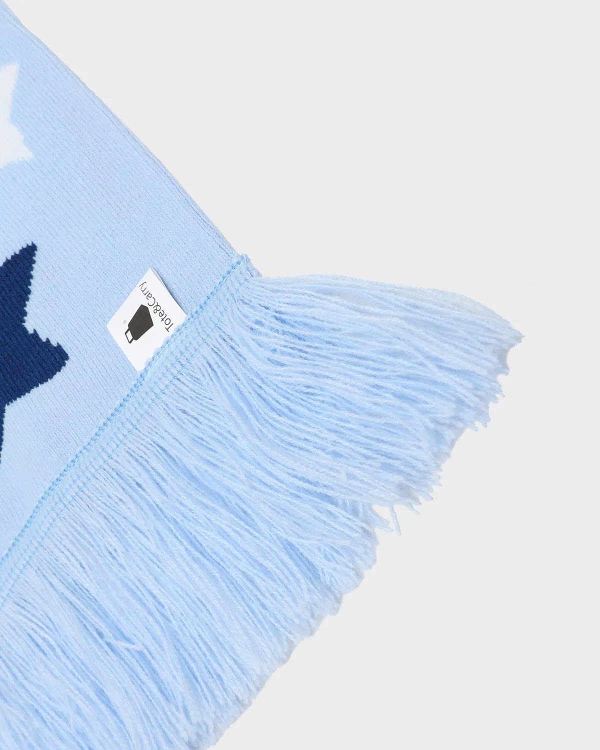 T&C Beanie Scarf Set in Baby Blue